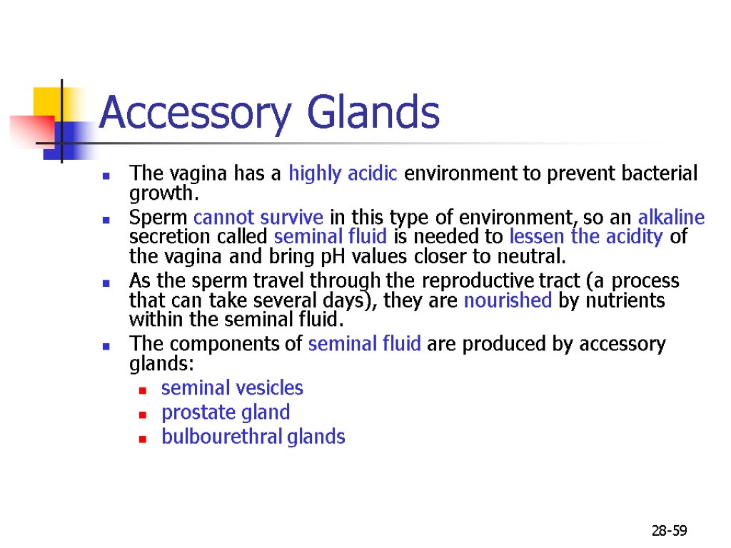 28-59 Accessory Glands The vagina has a highly acidic environment to prevent bacterial growth.